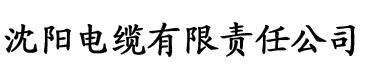 精品亚洲国产成人app电缆厂logo